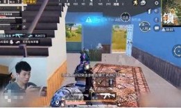 和平小镇爆料事件视频,揭秘背后惊人真相