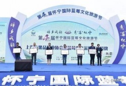 怀宁媒体爆料事件最新,揭开事件背后惊人真相