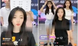 涵艺全程爆料视频,揭秘幕后真相与精彩瞬间