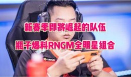 荣耀全明星最新爆料表哥,神秘阵容揭晓，巅峰对决即将上演！