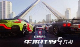 新奇爆料赛车视频下载,独家视频下载，速度与激情一触即发！