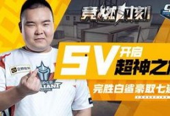 白鲨最新爆料消息视频,揭秘神秘视频背后的惊人真相