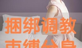 束缚在线观看,揭秘网络虚拟世界的真实束缚