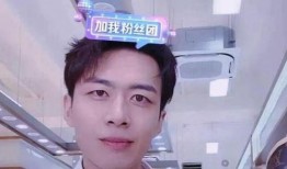 秦嘉倪被前男友爆料视频,真相与争议交织