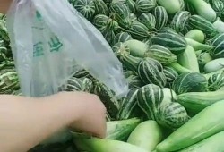 贵州网红大叔吃瓜,贵州网红大叔的独特吃瓜体验