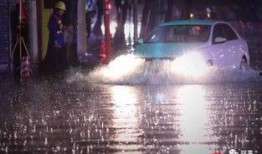 爆料广州暴雨视频大全,惊心动魄的视频大全回顾