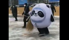 都市爆料冰墩墩视频下载,都市爆料视频带你一探究竟