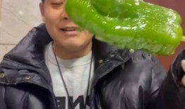 济宁网红吃瓜事件视频最新,真相发酵，网络舆论场再掀波澜