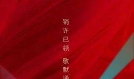 金辉爆料最新消息,揭秘娱乐圈惊人内幕