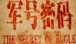 军号密码在线观看,揭秘神秘军情，解码忠诚与信仰