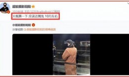 最近狗仔爆料视频播放大全,娱乐圈幕后真相全曝光