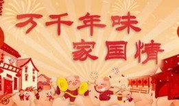 春节爆料视频大全新闻,精彩瞬间回顾