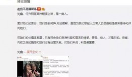 刘鑫最近爆料了吗视频播放,揭秘背后真相