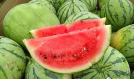 51吃瓜今日吃瓜热门网红,揭秘今日热门网红背后的故事