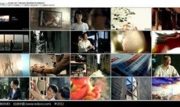 最新人文爆料视频大全,最新爆料视频大盘点