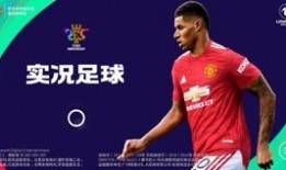 希儿内鬼爆料视频大全,视频爆料大全深度解析