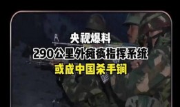中国官方爆料视频,深度解析中国最新动态