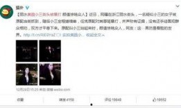 山东商河小三最新爆料新闻,真相再起波澜