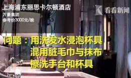 五星酒店爆料新闻,暗藏的卫生秘密与行业痛点