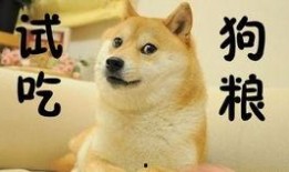 吃狗粮视频爆料,揭秘明星甜蜜背后的辛酸故事