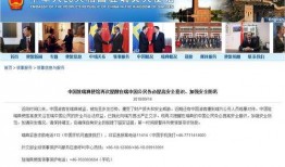 中国官方爆料视频,深度解析中国最新动态