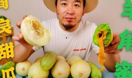 在哪里吃网红瓜最多,探寻全国最热美食打卡地