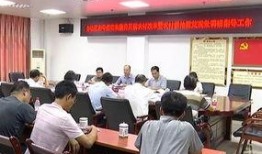 藤县新闻爆料电话是多少,揭秘藤县最新动态