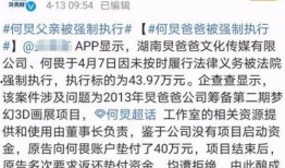 保姆爆料何炅视频在线观看,在线观看背后的惊人内幕