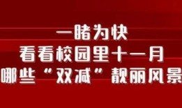 11月份高招爆料新闻有哪些,最新招生动态与热门话题盘点