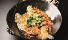 小齐的四个菜爆料视频大全,家常美食制作全过程