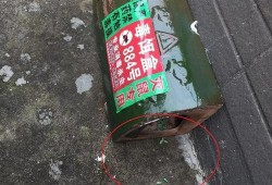 娱乐吃瓜酱灭鼠,揭秘灭鼠背后的趣味故事