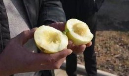 甜瓜的最新爆料是什么,揭秘娱乐圈惊人内幕