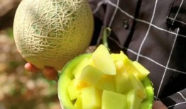 爆娱乐吃瓜,揭秘娱乐圈那些不为人知的瓜料