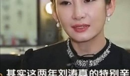 魏龙前妻爆料视频,揭秘婚姻内幕与情感纠葛