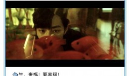 导演爆料直播在哪看啊视频,观看独家爆料瞬间，尽在XX平台