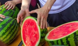 51吃瓜今日吃瓜热门网红,揭秘今日热门网红背后的故事