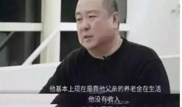 黄海波爆料完整视频,事件始末与背后真相