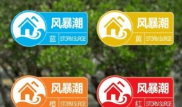 深圳网民张哥最新爆料视频,揭秘深圳网民热议事件内幕