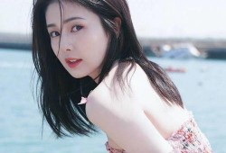 白鹿家世爆料视频大全,家世爆料视频大全深度解析