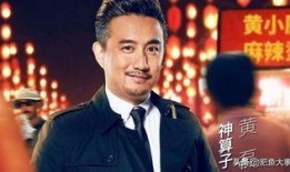 黄磊爆料节目视频播放下载,节目视频播放下载背后的秘密