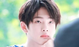 娱乐吃瓜小将王惠小说,娱乐圈的吃瓜小将，揭秘明星背后的故事