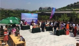 营口一台在线直播观看,带你领略这座城市的魅力瞬间