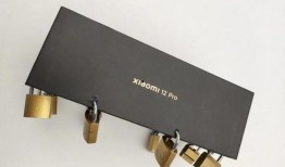 小米12pro最新爆料来袭,旗舰性能再升级，惊喜功能抢先看！