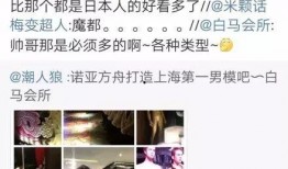 白马酒店爆料案件最新,揭开神秘事件的真相面纱