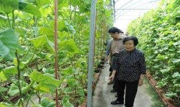 青州吃瓜最新事件爆料是真的吗,真相揭秘还是网络谣言？