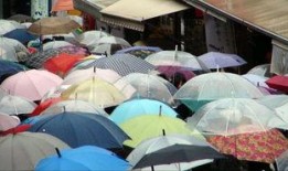 重庆网友爆料雨伞事件视频,雨伞事件引发网友热议