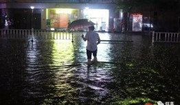 爆料广州暴雨视频大全,惊心动魄的视频大全回顾