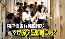 病毒在线观看韩国,在线揭秘韩国疫情下的生活百态