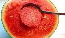 娱乐吃瓜酱美玉视频大全,美玉视频大全精彩回顾