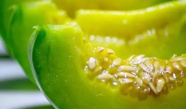 极品网红陈若初吃瓜,揭秘网红圈背后的惊人真相